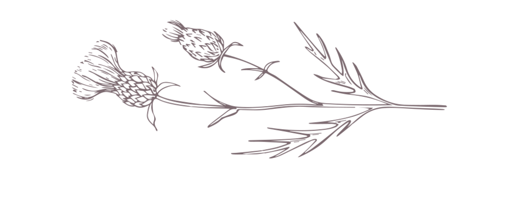 Purple Thistle horizontal.png