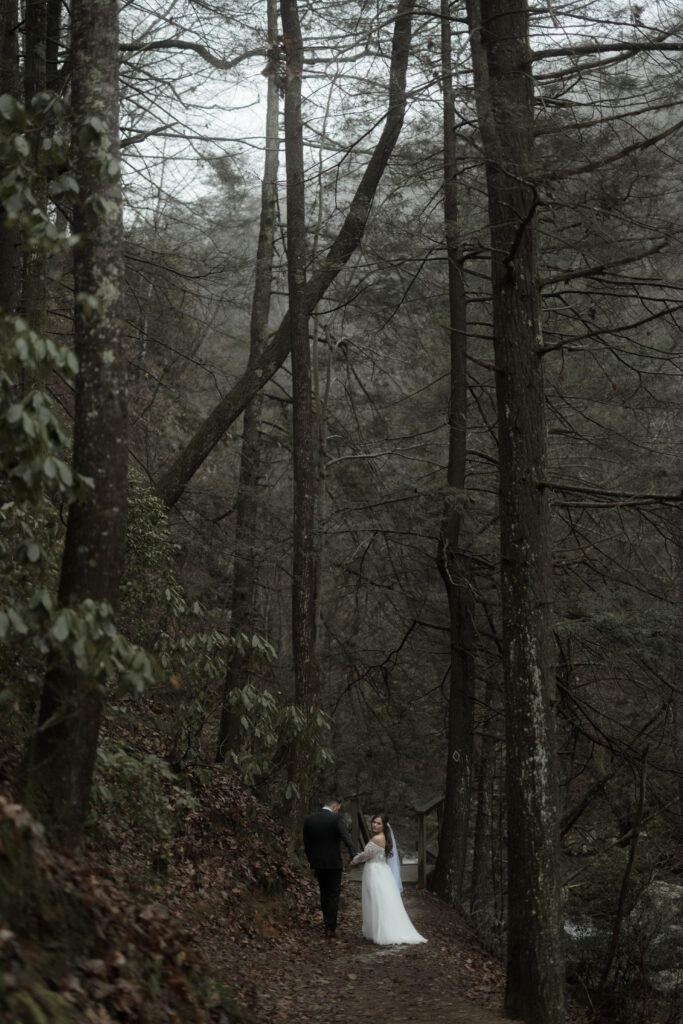 Eloping couple standing on rocks beneath a waterfall at Cloudland Canyon State Park surrounded by lush forest.