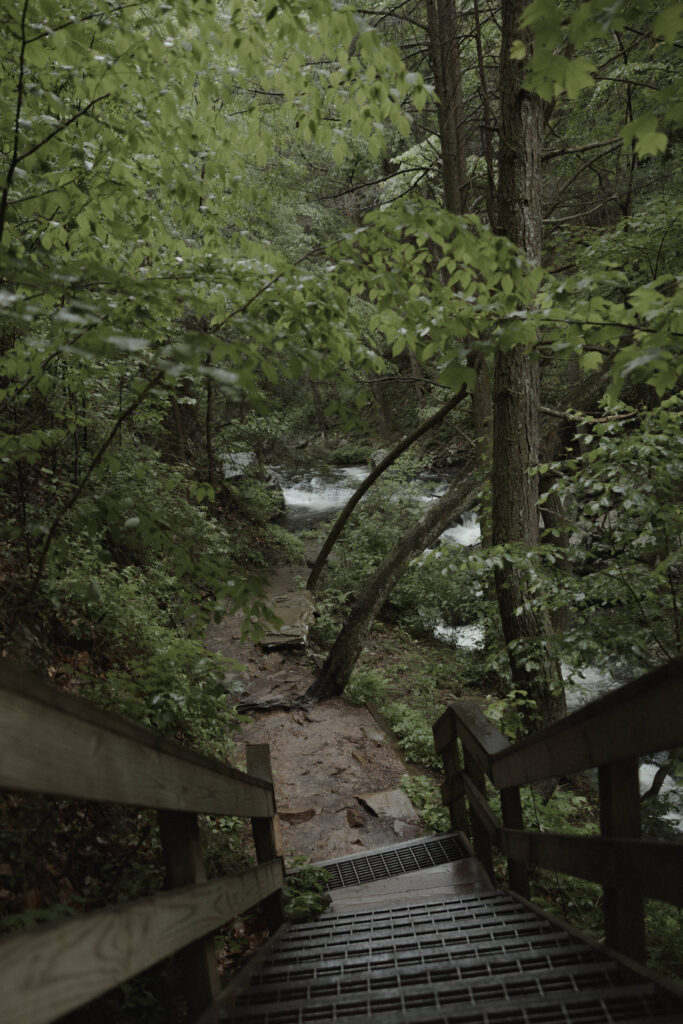 Cloudland Canyon Wedding elopement guide bride and groom hike down to waterfall north Georgia