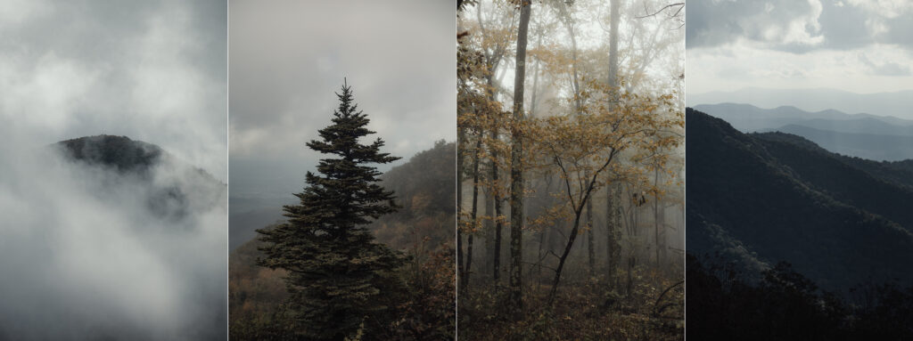 An intimate elopement on Upper Hawksbill Trail in Shenandoah National Park, Virginia. The couple hiked to the summit at sunrise, exchanging vows in a foggy, magical setting with breathtaking mountain views and their closest family and friends