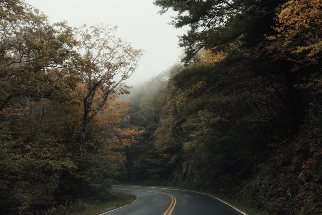 An intimate elopement on Upper Hawksbill Trail in Shenandoah National Park, Virginia. The couple hiked to the summit at sunrise, exchanging vows in a foggy, magical setting with breathtaking mountain views and their closest family and friends