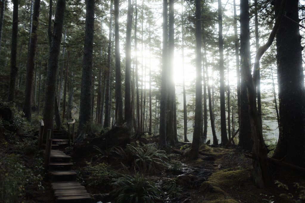 Bride and groom embracing on a windswept overlook at Cape Flattery with ocean cliffs and sea caves along the Washington coastline.
