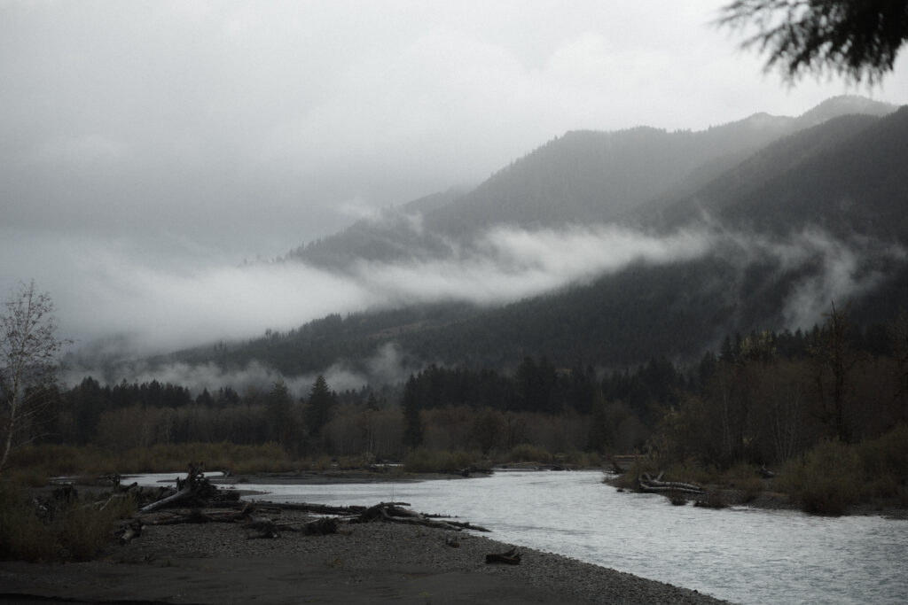 Intimate elopement ceremony in Hoh Rainforest with soft fog filtering through ancient evergreen trees in Olympic National Park, Washington.