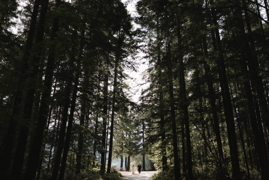 Couple exchanging vows beneath moss-covered trees in the Hoh Rain Forest during their Olympic National Park elopement.