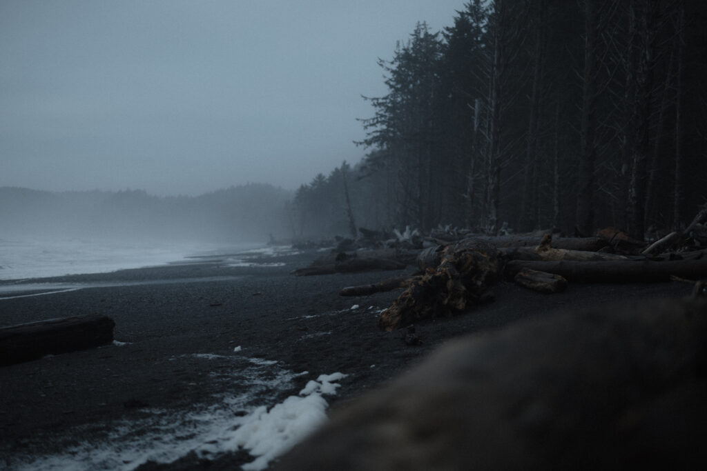 Thick coastal fog drifting between dramatic sea stacks at Rialto Beach in Olympic National Park along the rugged Washington coastline.